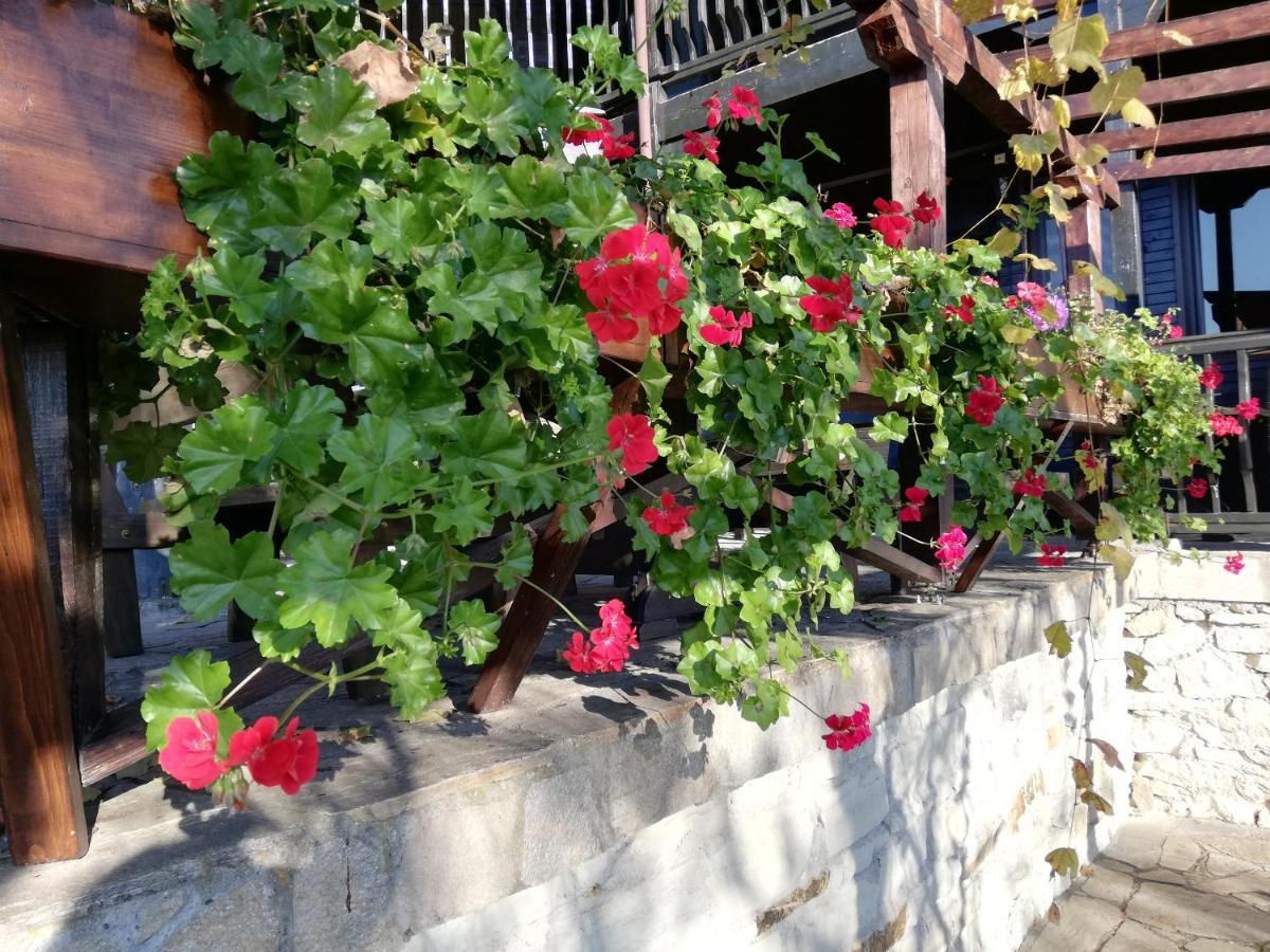 Trifon Zarezan Family Hotel Glavatartsi Exterior photo